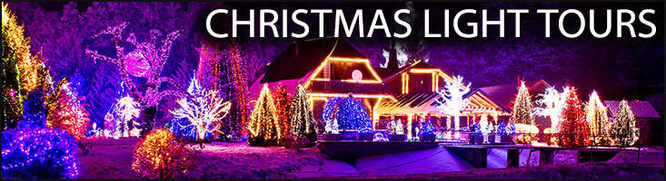 Holiday Light Tour
