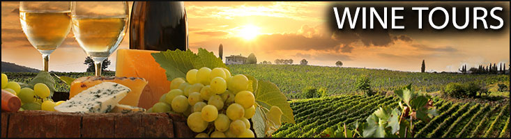 Wine Tour